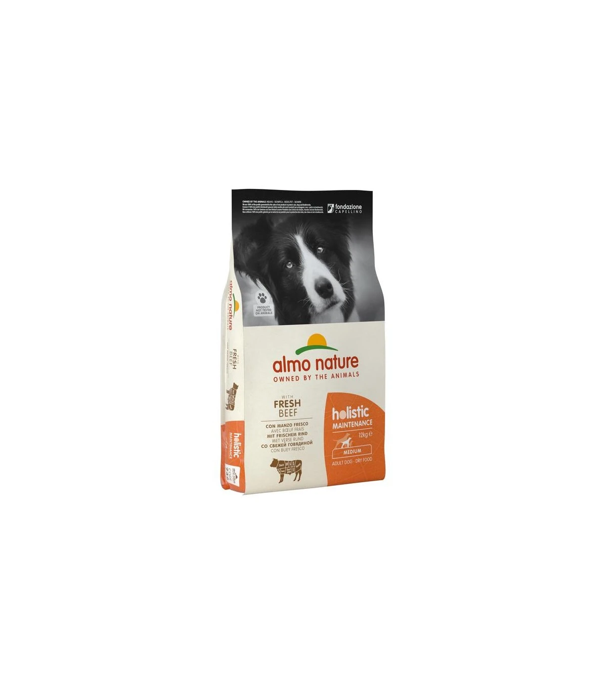 Almo Nature Holistic Cane Adult Medium Con Manzo 12 Kg 1 Almo Nature Holistic Cane Adult Medium Con Manzo 12 Kg
