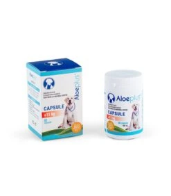 Aloeplus Capsule Cane +11 Kg 60 Capsule