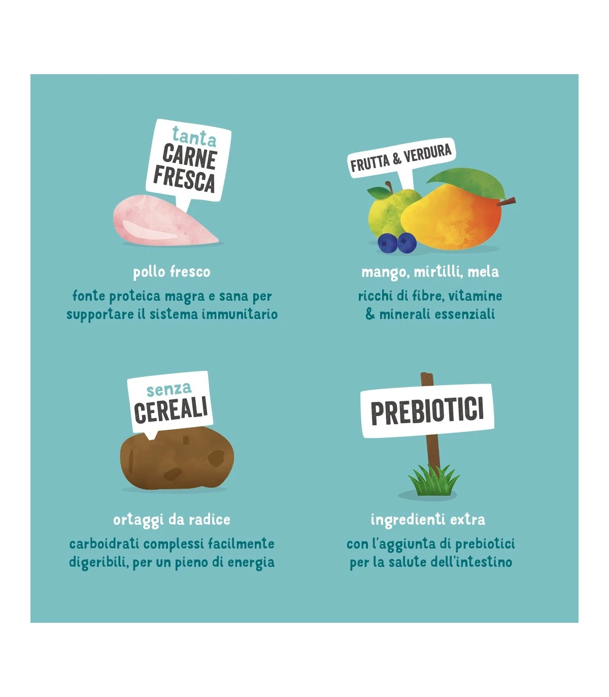 Edgard & Cooper Adult Carne Fresca Di Pollo Allevato A Terra Senza Cereali 12 Kg 4 Edgard & Cooper Adult Carne Fresca Di Pollo Allevato A Terra Senza Cereali 12 Kg - immagine 4