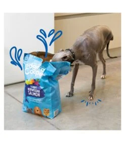 Edgard & Cooper Adult Carne Fresca Di Salmone Norvegese Senza Cereali 12 Kg -Amici a Quattro Zampe edgard cooper adult carne fresca di salmone norvegese senza cereali 12 kg 2