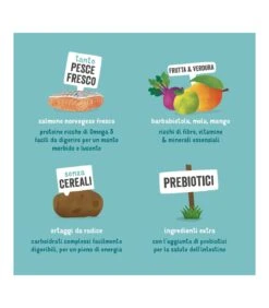 Edgard & Cooper Adult Carne Fresca Di Salmone Norvegese Senza Cereali 2,5 Kg -Amici a Quattro Zampe edgard cooper adult carne fresca di salmone norvegese senza cereali 25 kg 5