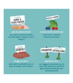 Edgard & Cooper Senior Carne Fresca Di Pollo Allevato A Terra E Salmone Norvegese Senza Cereali 12 Kg -Amici a Quattro Zampe edgard cooper senior carne fresca di pollo allevato a terra e salmone norvegese senza cereali 12 kg 4