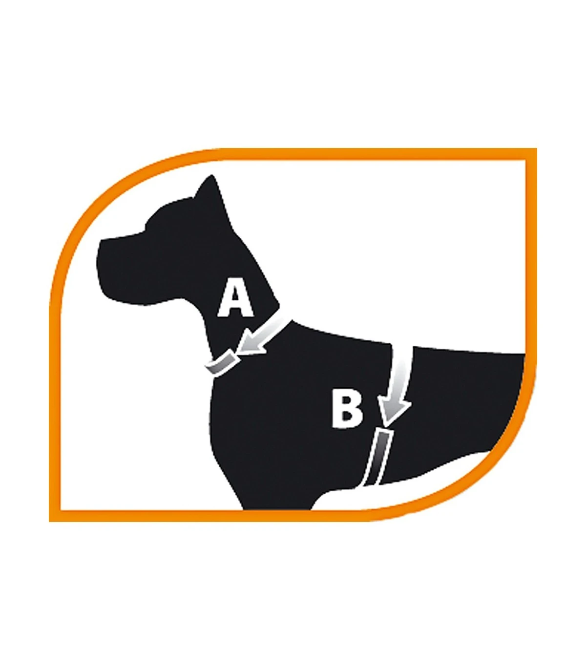 Ferplast Champion P Large Blu Pettorina 2 Ferplast Champion P Large Blu Pettorina - immagine 2