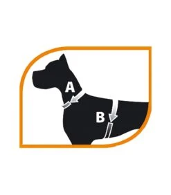 Ferplast Jogging Large Pettorina Con Guinzaglio -Amici a Quattro Zampe ferplast jogging large pettorina con guinzaglio 2