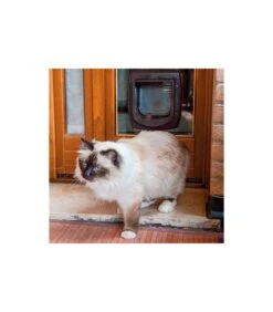 Ferplast Swing Microchip Marrone 11 Ferplast Swing Microchip Marrone -Amici a Quattro Zampe ferplast swing microchip marrone 2