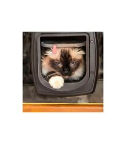 Ferplast Swing Microchip Marrone 12 Ferplast Swing Microchip Marrone -Amici a Quattro Zampe ferplast swing microchip marrone 3