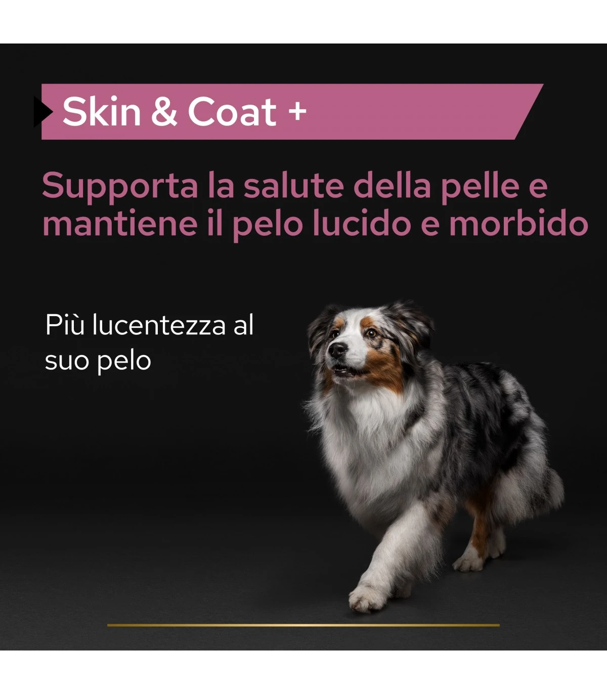 PURINA PRO PLAN Proplan Supplements Skin & Coat Cane 500 Ml 2 PURINA PRO PLAN Proplan Supplements Skin & Coat Cane 500 Ml - immagine 2