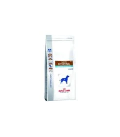Royal Canin Gastro Intestinal Mod. Cal. Cane 2 Kg