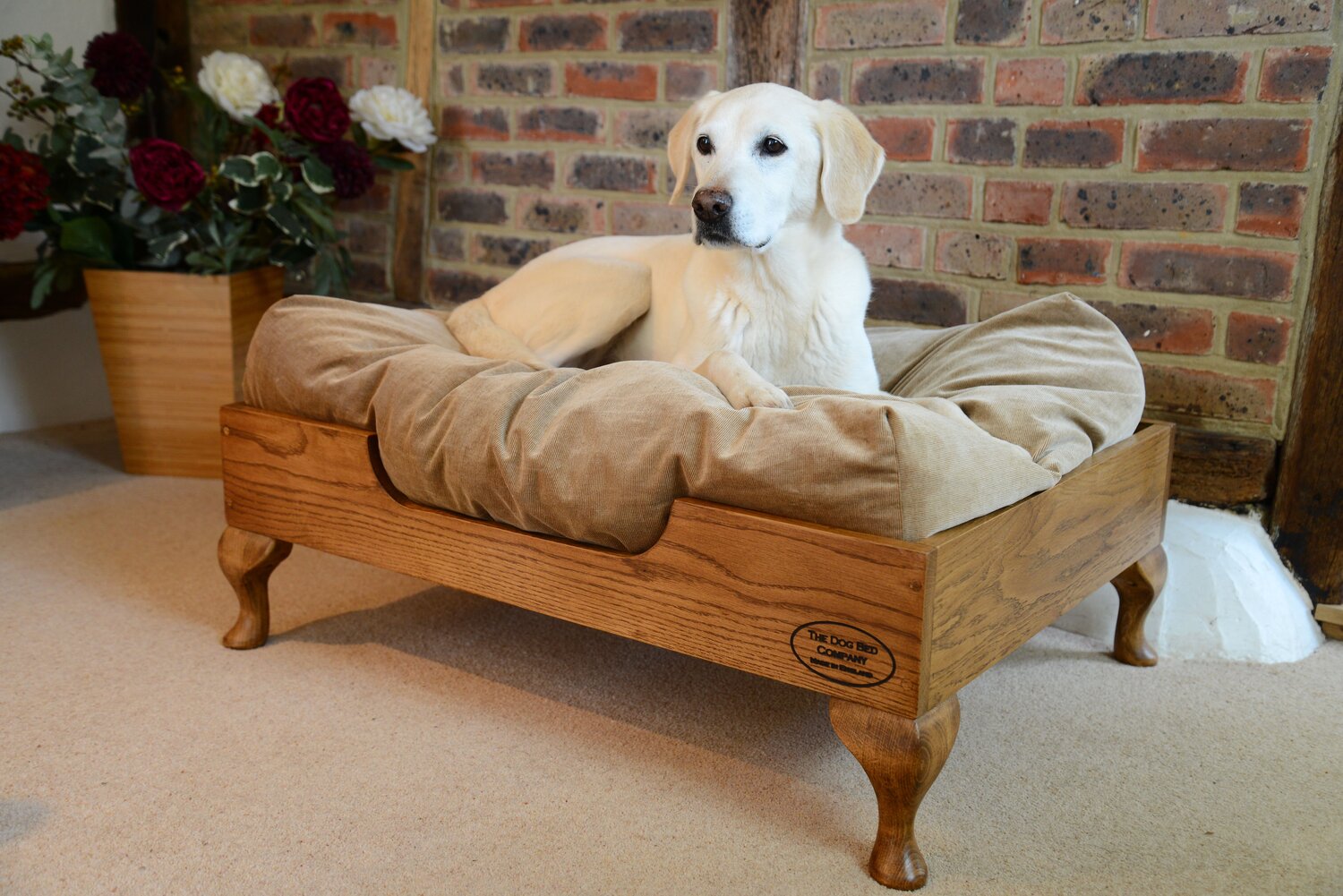 Amici a Quattro Zampe -Amici a Quattro Zampe smokedoak